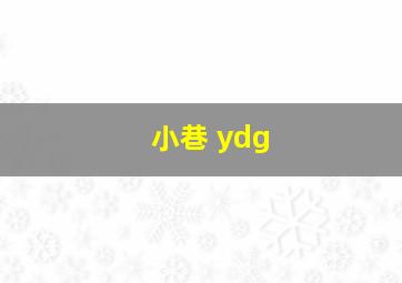 小巷 ydg